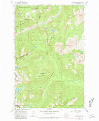 Stevens Pass Washington Historical topographic map, 1:24000 scale, 7.5 X 7.5 Minute, Year 1965