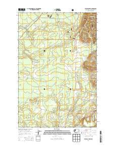 Stevens Creek Washington Current topographic map, 1:24000 scale, 7.5 X 7.5 Minute, Year 2014