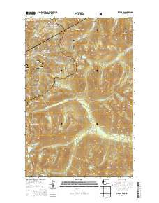 Stevens Pass Washington Current topographic map, 1:24000 scale, 7.5 X 7.5 Minute, Year 2014