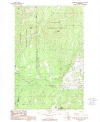 Storm King Mountain Washington Historical topographic map, 1:24000 scale, 7.5 X 7.5 Minute, Year 1988