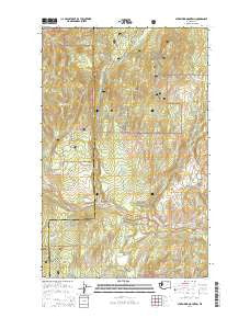 Storm King Mountain Washington Current topographic map, 1:24000 scale, 7.5 X 7.5 Minute, Year 2014