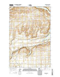 Stratford Washington Current topographic map, 1:24000 scale, 7.5 X 7.5 Minute, Year 2014