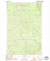 Strawberry Mountain Washington Historical topographic map, 1:24000 scale, 7.5 X 7.5 Minute, Year 1989