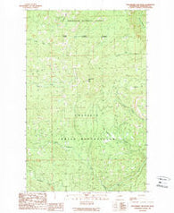 Strawberry Mountain Washington Historical topographic map, 1:24000 scale, 7.5 X 7.5 Minute, Year 1989