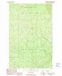Strawberry Mountain Washington Historical topographic map, 1:24000 scale, 7.5 X 7.5 Minute, Year 1989
