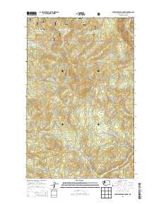 Strawberry Mountain Washington Current topographic map, 1:24000 scale, 7.5 X 7.5 Minute, Year 2014
