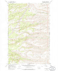 Stray Gulch Washington Historical topographic map, 1:24000 scale, 7.5 X 7.5 Minute, Year 1966