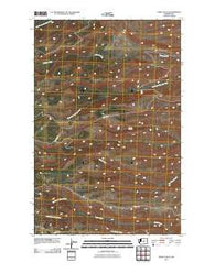 Stray Gulch Washington Historical topographic map, 1:24000 scale, 7.5 X 7.5 Minute, Year 2011