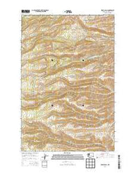 Stray Gulch Washington Current topographic map, 1:24000 scale, 7.5 X 7.5 Minute, Year 2014