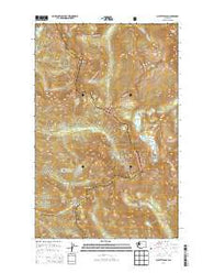 Suiattle Pass Washington Current topographic map, 1:24000 scale, 7.5 X 7.5 Minute, Year 2014