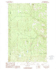 Swan Lake Washington Historical topographic map, 1:24000 scale, 7.5 X 7.5 Minute, Year 1988