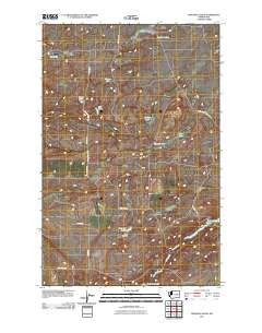 Swanson Lakes Washington Historical topographic map, 1:24000 scale, 7.5 X 7.5 Minute, Year 2011