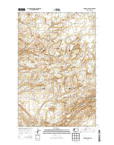Swanson Lakes Washington Current topographic map, 1:24000 scale, 7.5 X 7.5 Minute, Year 2013