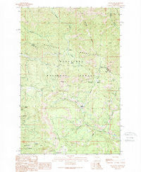Swauk Pass Washington Historical topographic map, 1:24000 scale, 7.5 X 7.5 Minute, Year 1989