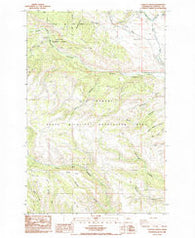 Taneum Canyon Washington Historical topographic map, 1:24000 scale, 7.5 X 7.5 Minute, Year 1985