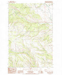 Taneum Canyon Washington Historical topographic map, 1:24000 scale, 7.5 X 7.5 Minute, Year 1985