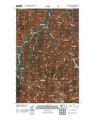 Tatoosh Buttes Washington Historical topographic map, 1:24000 scale, 7.5 X 7.5 Minute, Year 2011