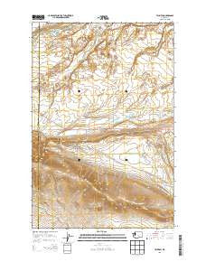 Taunton Washington Current topographic map, 1:24000 scale, 7.5 X 7.5 Minute, Year 2013