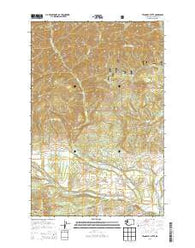 Teanaway Butte Washington Current topographic map, 1:24000 scale, 7.5 X 7.5 Minute, Year 2014