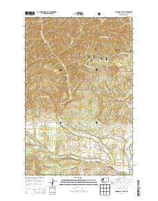 Teanaway Butte Washington Current topographic map, 1:24000 scale, 7.5 X 7.5 Minute, Year 2014