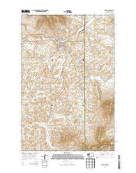 Tekoa Washington Current topographic map, 1:24000 scale, 7.5 X 7.5 Minute, Year 2014
