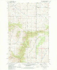 Tekoa Mountain Washington Historical topographic map, 1:24000 scale, 7.5 X 7.5 Minute, Year 1980