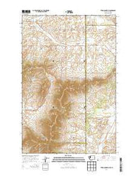 Tekoa Mountain Washington Current topographic map, 1:24000 scale, 7.5 X 7.5 Minute, Year 2014