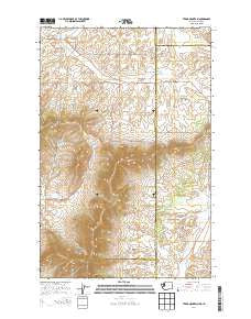 Tekoa Mountain Washington Current topographic map, 1:24000 scale, 7.5 X 7.5 Minute, Year 2014