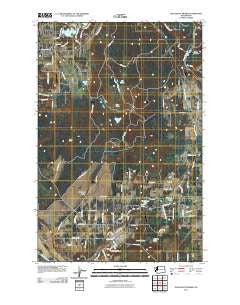 Tenalquot Prairie Washington Historical topographic map, 1:24000 scale, 7.5 X 7.5 Minute, Year 2011
