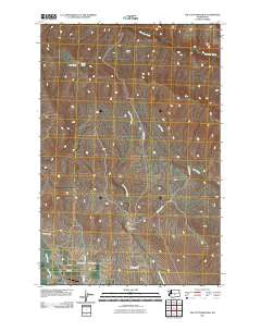 The Cottonwoods Washington Historical topographic map, 1:24000 scale, 7.5 X 7.5 Minute, Year 2011