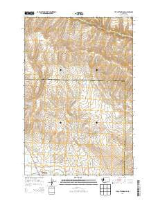 The Cottonwoods Washington Current topographic map, 1:24000 scale, 7.5 X 7.5 Minute, Year 2013