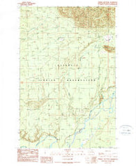 Thimble Mountain Washington Historical topographic map, 1:24000 scale, 7.5 X 7.5 Minute, Year 1990