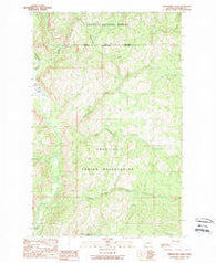 Thirteenmile Creek Washington Historical topographic map, 1:24000 scale, 7.5 X 7.5 Minute, Year 1989