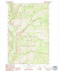 Thirteenmile Creek Washington Historical topographic map, 1:24000 scale, 7.5 X 7.5 Minute, Year 1989