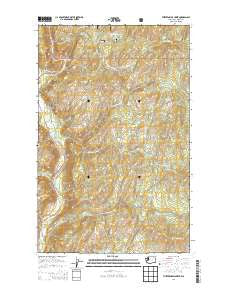 Thirteenmile Creek Washington Current topographic map, 1:24000 scale, 7.5 X 7.5 Minute, Year 2014