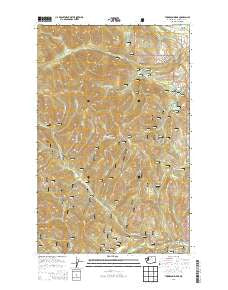 Thompson Ridge Washington Current topographic map, 1:24000 scale, 7.5 X 7.5 Minute, Year 2014
