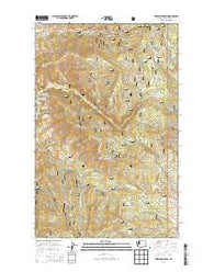 Thrapp Mountain Washington Current topographic map, 1:24000 scale, 7.5 X 7.5 Minute, Year 2014