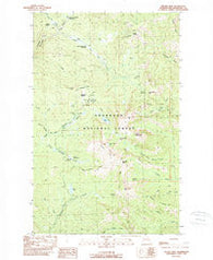 Tiffany Mtn. Washington Historical topographic map, 1:24000 scale, 7.5 X 7.5 Minute, Year 1989