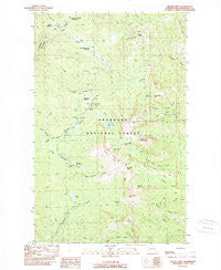 Tiffany Mtn. Washington Historical topographic map, 1:24000 scale, 7.5 X 7.5 Minute, Year 1989