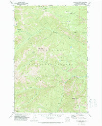Timberwolf Mtn Washington Historical topographic map, 1:24000 scale, 7.5 X 7.5 Minute, Year 1971
