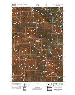 Timberwolf Mountain Washington Historical topographic map, 1:24000 scale, 7.5 X 7.5 Minute, Year 2011