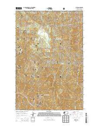 Tiptop Washington Current topographic map, 1:24000 scale, 7.5 X 7.5 Minute, Year 2014