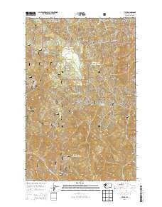 Tiptop Washington Current topographic map, 1:24000 scale, 7.5 X 7.5 Minute, Year 2014
