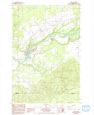 Toledo Washington Historical topographic map, 1:24000 scale, 7.5 X 7.5 Minute, Year 1984