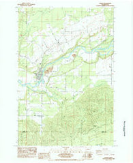 Toledo Washington Historical topographic map, 1:24000 scale, 7.5 X 7.5 Minute, Year 1984