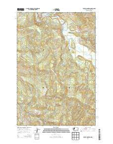 Toutle Mountain Washington Current topographic map, 1:24000 scale, 7.5 X 7.5 Minute, Year 2013