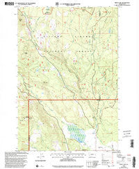 Trout Lake Washington Historical topographic map, 1:24000 scale, 7.5 X 7.5 Minute, Year 1998