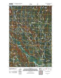Trout Lake Washington Historical topographic map, 1:24000 scale, 7.5 X 7.5 Minute, Year 2011