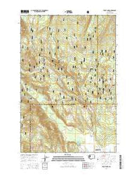 Trout Lake Washington Current topographic map, 1:24000 scale, 7.5 X 7.5 Minute, Year 2014