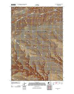 Tule Prong Washington Historical topographic map, 1:24000 scale, 7.5 X 7.5 Minute, Year 2011